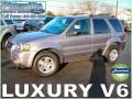 2007 Tungsten Grey Metallic Ford Escape Limited  photo #1