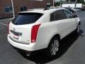 Platinum Ice Tricoat - SRX Premium Photo No. 4