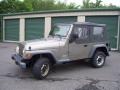Light Khaki Metallic - Wrangler SE 4x4 Photo No. 1