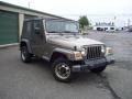 Light Khaki Metallic - Wrangler SE 4x4 Photo No. 3