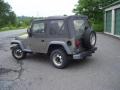 Light Khaki Metallic - Wrangler SE 4x4 Photo No. 5