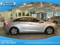 Radiant Silver - Sonata GLS Photo No. 1