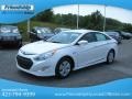 Porcelain White Pearl - Sonata Hybrid Photo No. 3