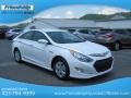 Porcelain White Pearl - Sonata Hybrid Photo No. 5