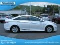 Porcelain White Pearl - Sonata Hybrid Photo No. 6