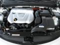 Porcelain White Pearl - Sonata Hybrid Photo No. 10