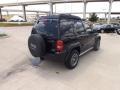 Black Clearcoat - Liberty Renegade 4x4 Photo No. 5