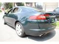 Botanical Green Metallic - XF Luxury Photo No. 4