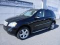 Black - ML 350 4Matic Photo No. 2