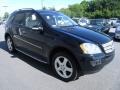 Black - ML 350 4Matic Photo No. 4
