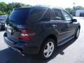 Black - ML 350 4Matic Photo No. 5