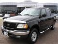 2002 Black Ford F150 XLT SuperCrew 4x4  photo #1