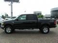 2002 Black Ford F150 XLT SuperCrew 4x4  photo #10