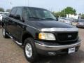 2002 Black Ford F150 XLT SuperCrew 4x4  photo #15