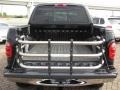 2002 Black Ford F150 XLT SuperCrew 4x4  photo #21
