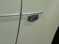 Stone White - 300 C HEMI Photo No. 25