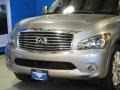 Platinum Graphite - QX 56 4WD Photo No. 3