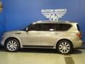 Platinum Graphite - QX 56 4WD Photo No. 5