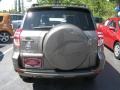 Sandy Beach Metallic - RAV4 I4 Photo No. 4
