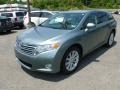 Aloe Green Metallic - Venza AWD Photo No. 3