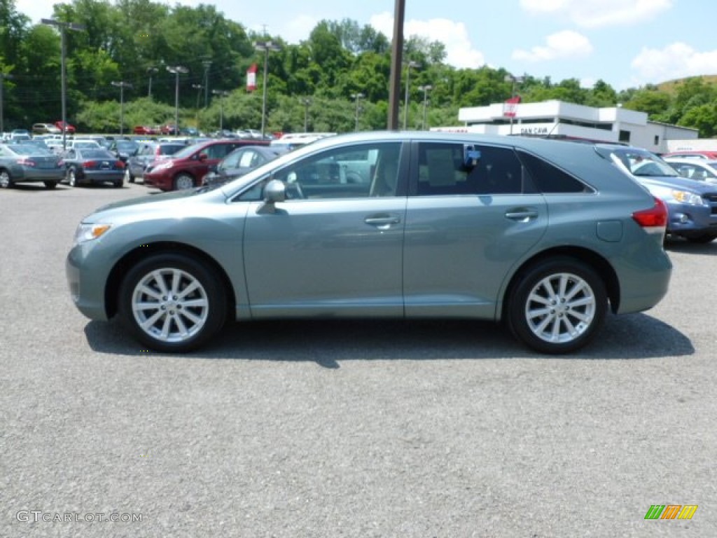 Aloe Green Metallic 2010 Toyota Venza AWD Exterior Photo #66936424