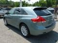 Aloe Green Metallic - Venza AWD Photo No. 5