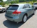 Aloe Green Metallic - Venza AWD Photo No. 7