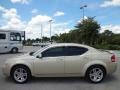 White Gold - Avenger R/T Photo No. 2