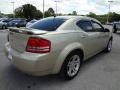 White Gold - Avenger R/T Photo No. 8
