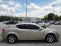 White Gold - Avenger R/T Photo No. 9