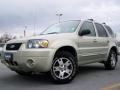 2005 Gold Ash Metallic Ford Escape Limited  photo #1