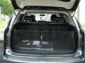 2010 Smokey Granite Mica Lexus RX 350 AWD  photo #13