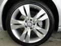 Iridium Silver Metallic - CLS 550 Photo No. 33