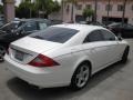 2010 Diamond White Metallic Mercedes-Benz CLS 550  photo #2