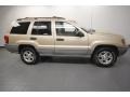 Champagne Pearl - Grand Cherokee Laredo Photo No. 7