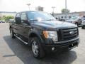 2010 Tuxedo Black Ford F150 FX4 SuperCrew 4x4  photo #6