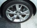 Tungsten Pearl - IS 250 Photo No. 4