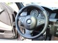 2010 BMW 5 Series Natural Brown Interior Steering Wheel Photo