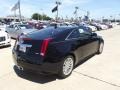 Black Raven - CTS Coupe Photo No. 3