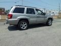 2001 Silverstone Metallic Jeep Grand Cherokee Limited 4x4  photo #11