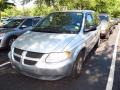 2002 Bright Silver Metallic Dodge Caravan SE  photo #4