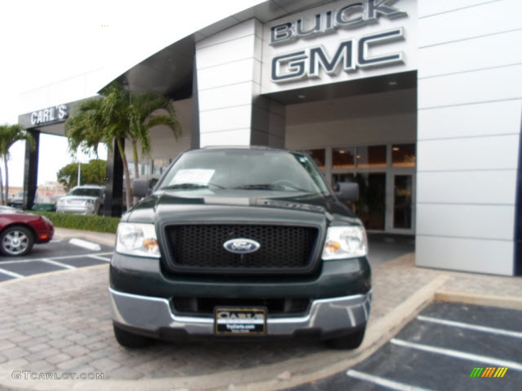 2005 F150 XLT Regular Cab - Aspen Green Metallic / Medium Flint Grey photo #28