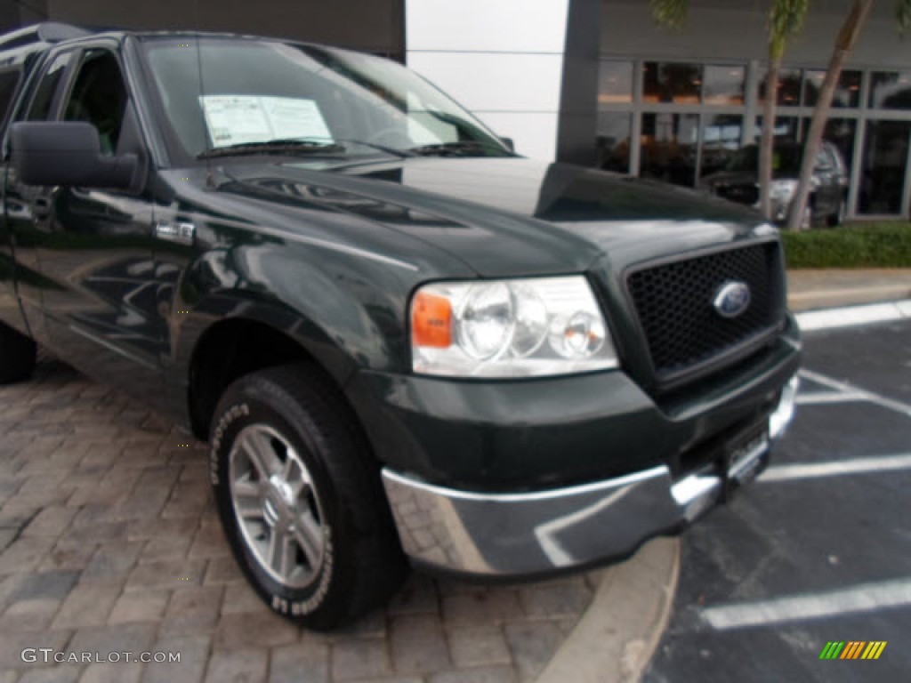 2005 F150 XLT Regular Cab - Aspen Green Metallic / Medium Flint Grey photo #30