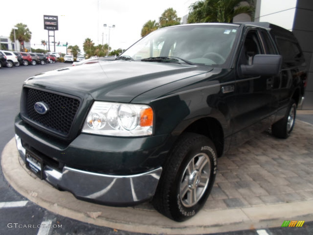 2005 F150 XLT Regular Cab - Aspen Green Metallic / Medium Flint Grey photo #32