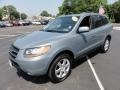 2008 Natural Khaki Green Hyundai Santa Fe Limited 4WD  photo #2