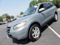 2008 Natural Khaki Green Hyundai Santa Fe Limited 4WD  photo #3