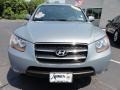 2008 Natural Khaki Green Hyundai Santa Fe Limited 4WD  photo #4