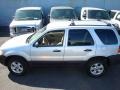2006 Silver Metallic Ford Escape XLT V6 4WD  photo #2