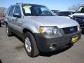 2006 Silver Metallic Ford Escape XLT V6 4WD  photo #4