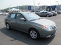 2010 Natural Khaki Hyundai Elantra GLS  photo #1